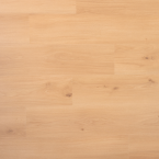 DD Spontaan Dragon 04952