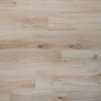 DD Spontaan Gember 04949